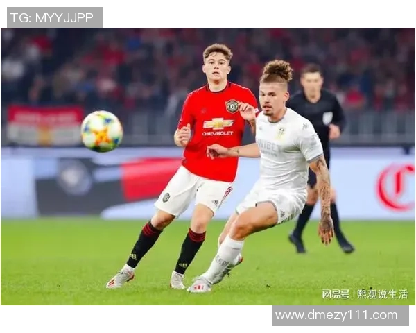 河北酒店足球明星的璀璨之路与背后故事揭秘